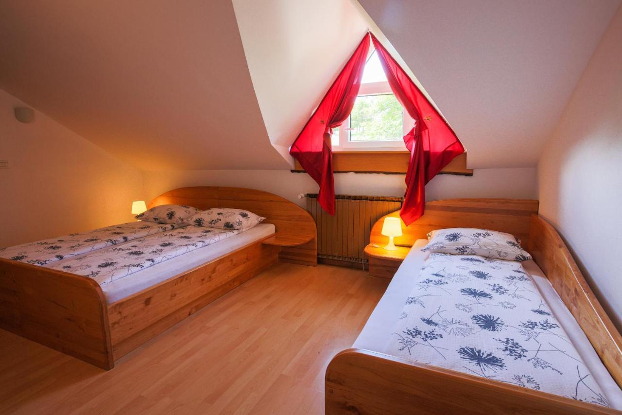 Вилла Domacija Malnarjevi Villa Slavina Экстерьер фото